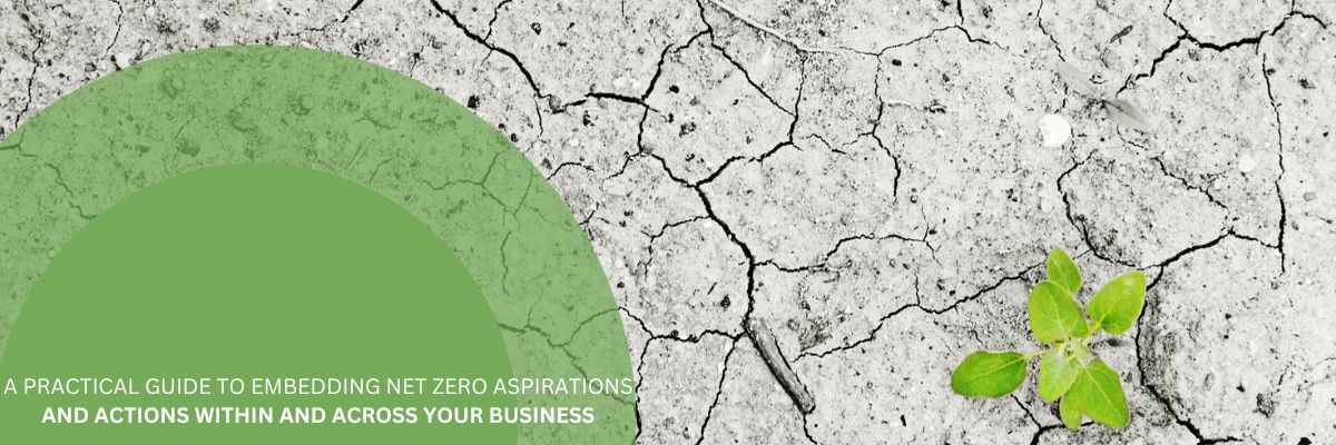 a practical guide to embedding net zero aspirations and actions within and across your business
